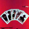 Cowboy Casino (XSX) game cover art