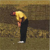 PGA Tour Golf '96 artwork
