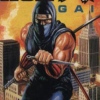Ninja Gaiden artwork