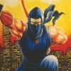 Ninja Gaiden III: The Ancient Ship of Doom artwork