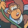 Donkey Kong Junior (XSX) game cover art