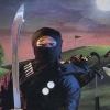 Ninja Golf (XSX) game cover art