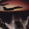 Tomcat F-14 Flight Simulator (XSX) game cover art