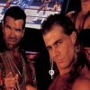 WWF Wrestlemania: The Arcade Game (Sega 32X)