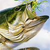 BASS Strike (XSX) game cover art