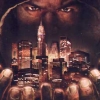 Def Jam: Fight for NY (XSX) game cover art