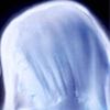 Echo Night: Beyond (PlayStation 2) artwork