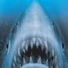 Jaws Unleashed (PlayStation 2) artwork