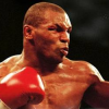 Mike Tyson Heavyweight Boxing (XSX) game cover art