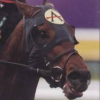 NTRA Breeder's Cup: World Thoroughbred (XSX) game cover art
