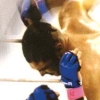 Pride FC: Fighting Championships (PlayStation 2) artwork