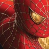 Spider-Man 2 (PlayStation 2) artwork