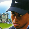 Tiger Woods PGA Tour 2003 (XSX) game cover art