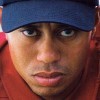 Tiger Woods PGA Tour 2004 (XSX) game cover art