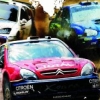 WRC: World Rally Championship (PlayStation 2)