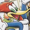 Woody Woodpecker: Escape From Buzz Buzzard Park artwork