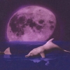 Ocean Depths (XSX) game cover art