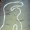 J.B. Harold Murder Club artwork