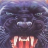 Shape Shifter artwork