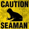 Seaman artwork