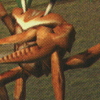 Seventh Cross Evolution (Dreamcast)