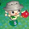 Animal Crossing: Wild World artwork