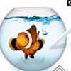 Aquarium by DS artwork