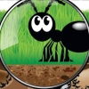 Ant Nation artwork