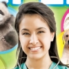 Animal Planet: Vet Life (XSX) game cover art