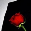 The Bachelor: The Videogame (XSX) game cover art