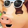 Crazy Pig (DS)