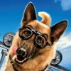 Cats & Dogs: The Revenge of Kitty Galore - The Videogame (XSX) game cover art