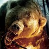 Cabela's Dangerous Hunts 2011 artwork