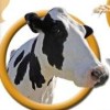Clever Kids: Farmyard Fun (XSX) game cover art