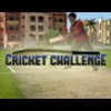 Cricket Challenge (XSX) game cover art