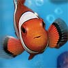 Fish Tycoon (XSX) game cover art