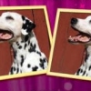 Foto Frenzy: Spot the Difference (XSX) game cover art
