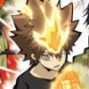 Katekyoo Hitman Reborn! DS - Shinuki Max! Vongola Carnival!! artwork