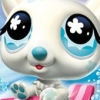 Littlest Pet Shop: Winter (XSX) game cover art