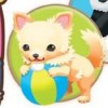 My Pet Shop (XSX) game cover art