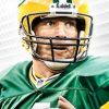 Madden NFL 09 artwork