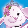 Magical ZhuZhu Princess: Carriages & Castles (XSX) game cover art