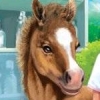 My Animal Centre (XSX) game cover art