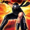 Ninja Gaiden: Dragon Sword (DS) artwork