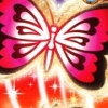 Nankoku Sodachi DS (XSX) game cover art