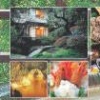 Osumitsuki Series: Matsuda Tadanori Onsen Kyouju Kanshuu - Zenkoku DokoDemo Onsen Techou (XSX) game cover art