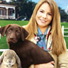 Paws & Claws: Pet Vet (XSX) game cover art
