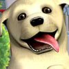 Puppy Luv: Spa & Resort (XSX) game cover art
