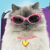 Paws & Claws: Pet Resort (XSX) game cover art