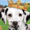 Paws & Claws: Regal Resort (XSX) game cover art